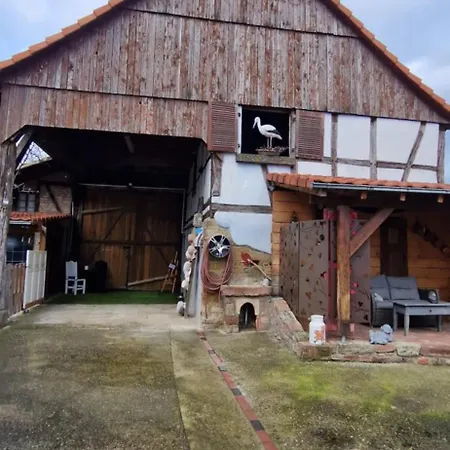 Atelier D Antoine Appartamento Saasenheim